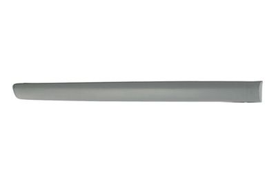 Trim/Protection Strip, wing BLIC 5703-04-9506578P