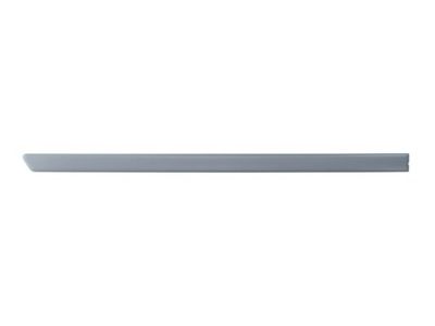 Trim/Protection Strip, wing BLIC 5703-04-9523578P