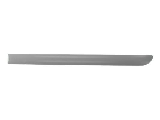 BLIC 5703-04-9524577P Trim/Protection Strip, wing