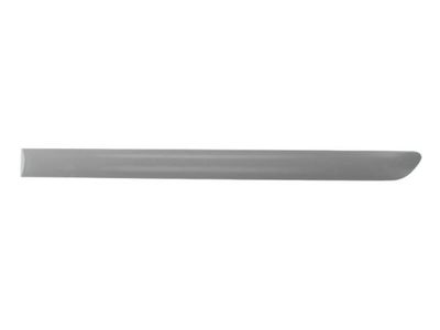 Trim/Protection Strip, wing BLIC 5703-04-9524577P