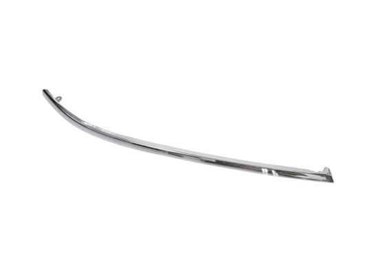 BLIC 5703-05-0014924P Trim/Protection Strip, bumper
