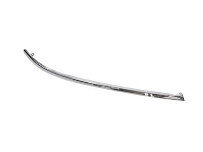 Trim/Protection Strip, bumper BLIC 5703-05-0014924P