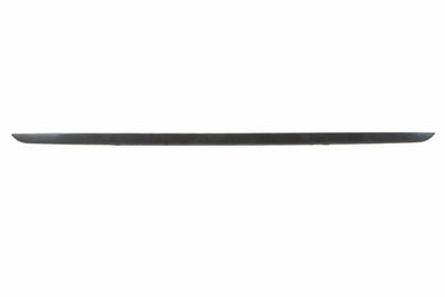 Trim/Protection Strip, bumper BLIC 5703-05-0071971P