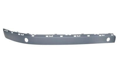 Trim/Protection Strip, bumper BLIC 5703-05-0076920AP
