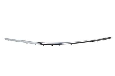 Trim/Protection Strip, bumper BLIC 5703-05-0076920PP