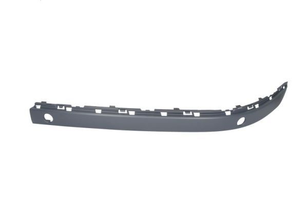 BLIC 5703-05-0076921AP Trim/Protection Strip, bumper