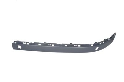 Trim/Protection Strip, bumper BLIC 5703-05-0076921AP