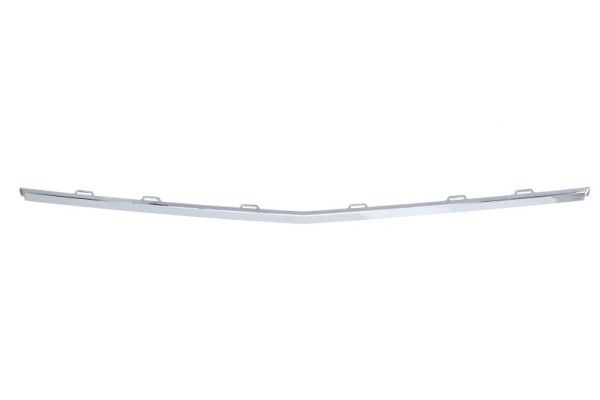 BLIC 5703-05-0076929CP Trim/Protection Strip, bumper