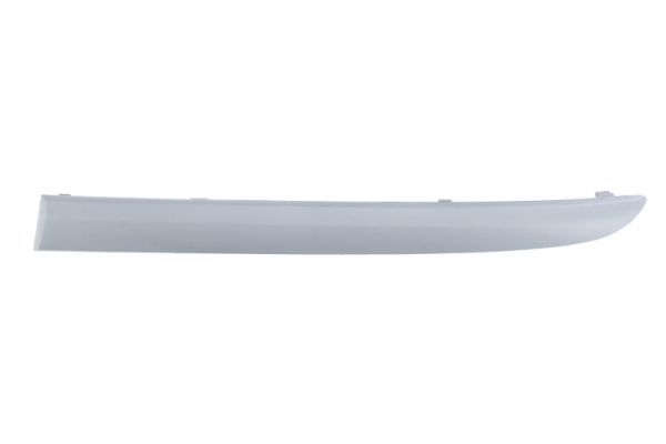 BLIC 5703-05-0085921Q Trim/Protection Strip, bumper