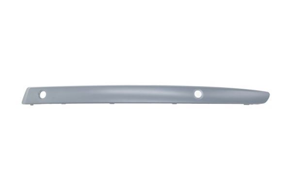 BLIC 5703-05-0085925Q Trim/Protection Strip, bumper