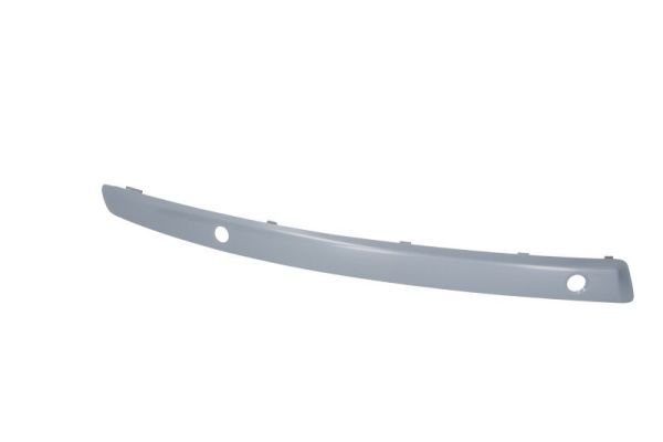 BLIC 5703-05-0085926Q Trim/Protection Strip, bumper