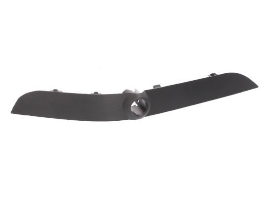 BLIC 5703-05-0095921P Trim/Protection Strip, bumper
