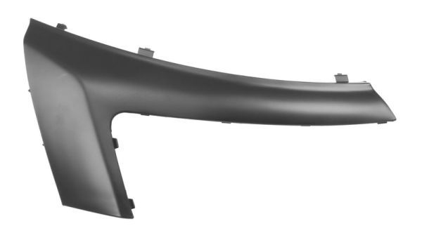 BLIC 5703-05-0557921Q Trim/Protection Strip, bumper
