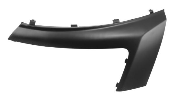 BLIC 5703-05-0557922Q Trim/Protection Strip, bumper