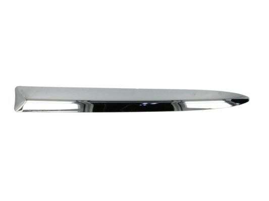 BLIC 5703-05-2013923P Trim/Protection Strip, bumper