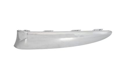 Trim/Protection Strip, bumper BLIC 5703-05-2013927P