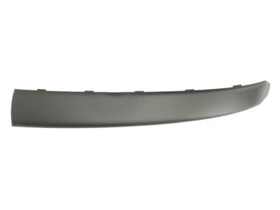 Trim/Protection Strip, bumper BLIC 5703-05-2023921PP