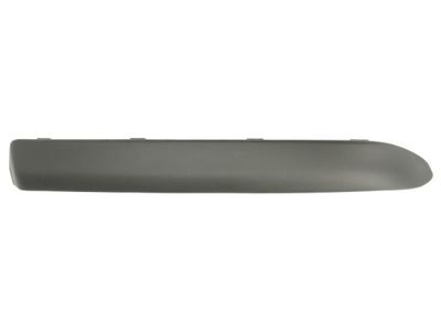 Trim/Protection Strip, bumper BLIC 5703-05-2023922P