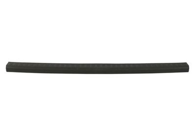 Trim/Protection Strip, bumper BLIC 5703-05-2507972P