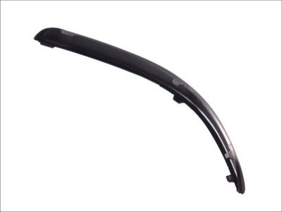 Trim/Protection Strip, bumper BLIC 5703-05-2532921P