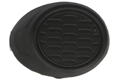 Ventilation Grilles, bumper BLIC 5703-05-2537921P