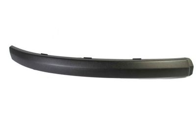 Trim/Protection Strip, bumper BLIC 5703-05-2555924P
