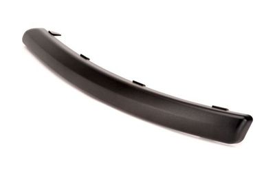 Trim/Protection Strip, bumper BLIC 5703-05-2555925P
