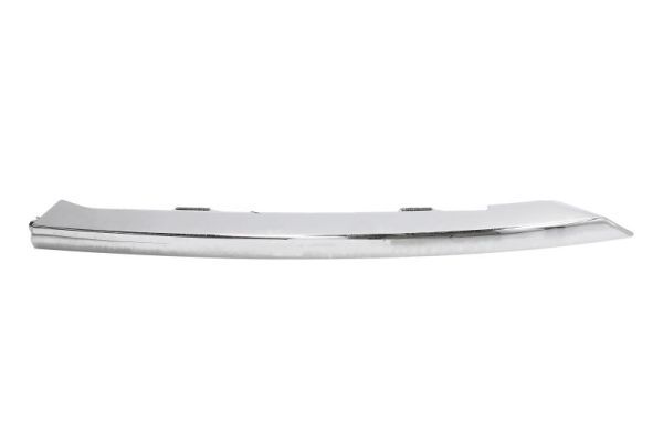 BLIC 5703-05-3222921P Trim/Protection Strip, bumper
