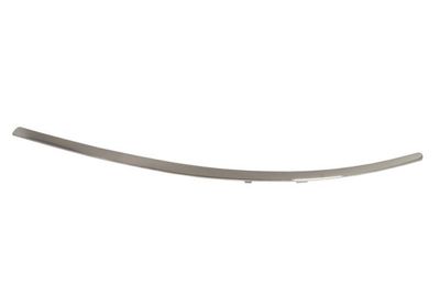 Trim/Protection Strip, bumper BLIC 5703-05-3506972P