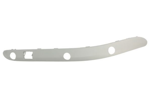 BLIC 5703-05-3515934P Trim/Protection Strip, bumper