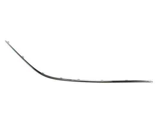 BLIC 5703-05-3517924P Trim/Protection Strip, bumper