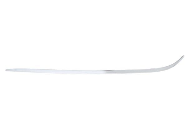 BLIC 5703-05-3517931P Trim/Protection Strip, bumper