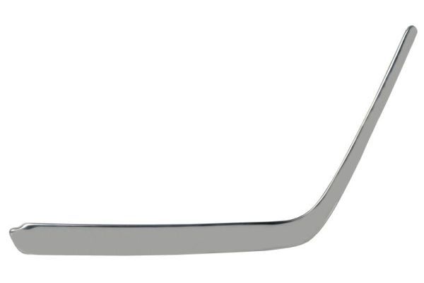 BLIC 5703-05-3526927P Trim/Protection Strip, bumper