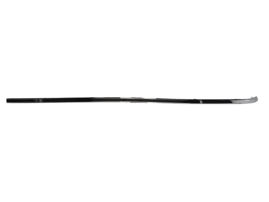 BLIC 5703-05-3527971P Trim/Protection Strip, bumper