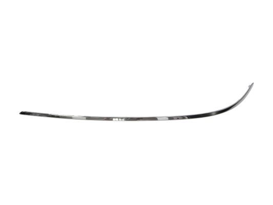 BLIC 5703-05-3529921P Trim/Protection Strip, bumper