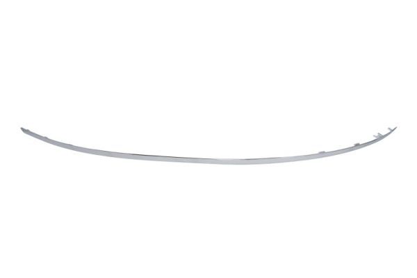 BLIC 5703-05-3529968P Trim/Protection Strip, bumper
