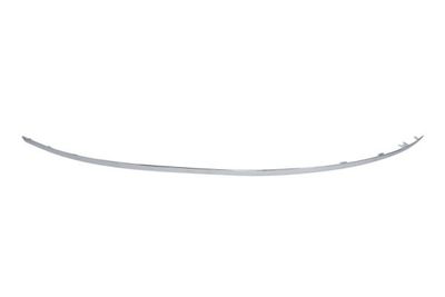 Trim/Protection Strip, bumper BLIC 5703-05-3529968P