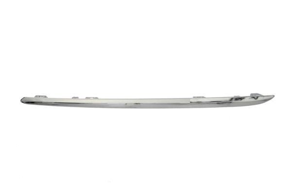 BLIC 5703-05-3529973P Trim/Protection Strip, bumper