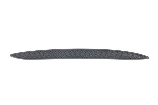 BLIC 5703-05-3536973P Trim/Protection Strip, bumper