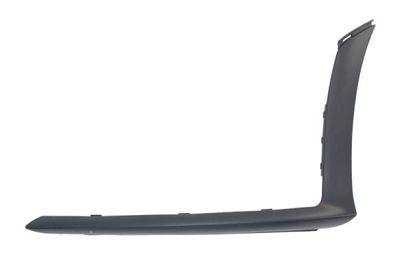 Trim/Protection Strip, bumper BLIC 5703-05-3556921P