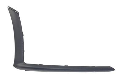 Trim/Protection Strip, bumper BLIC 5703-05-3556922P