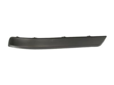 Trim/Protection Strip, bumper BLIC 5703-05-5052976P