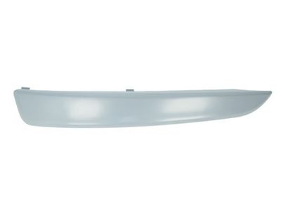 Trim/Protection Strip, bumper BLIC 5703-05-5063921P
