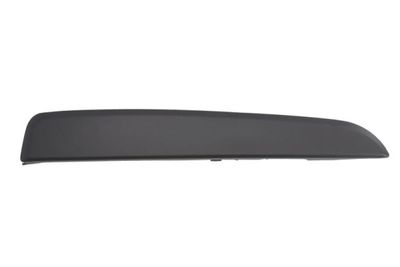Trim/Protection Strip, bumper BLIC 5703-05-5063924Q
