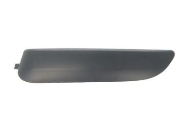 Trim/Protection Strip, bumper BLIC 5703-05-5519923P