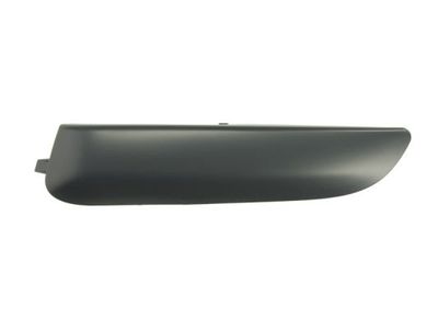 Trim/Protection Strip, bumper BLIC 5703-05-5519925P