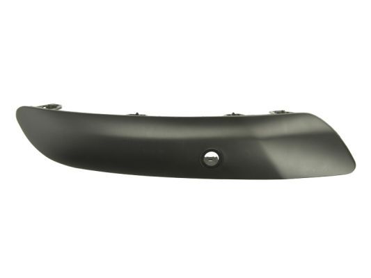BLIC 5703-05-5519973P Trim/Protection Strip, bumper