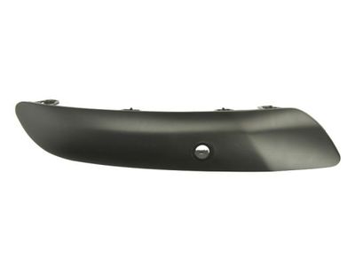 Trim/Protection Strip, bumper BLIC 5703-05-5519973P