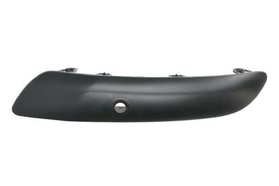 Trim/Protection Strip, bumper BLIC 5703-05-5519974P