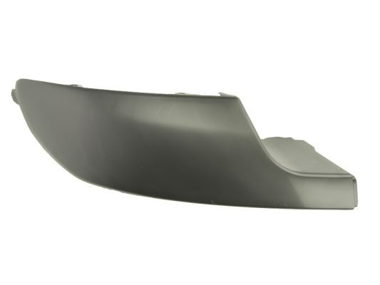 BLIC 5703-05-5519975P Trim/Protection Strip, bumper